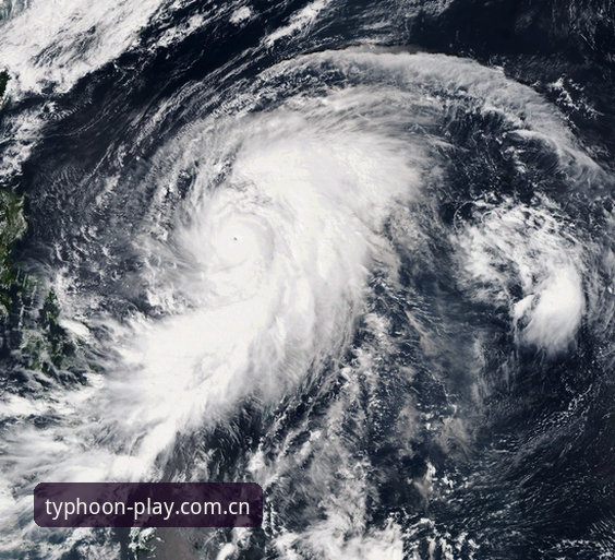凤凰TYPHOON v2.3.1安装包下载失败深度评测——解决下载难题的五大实战方案
